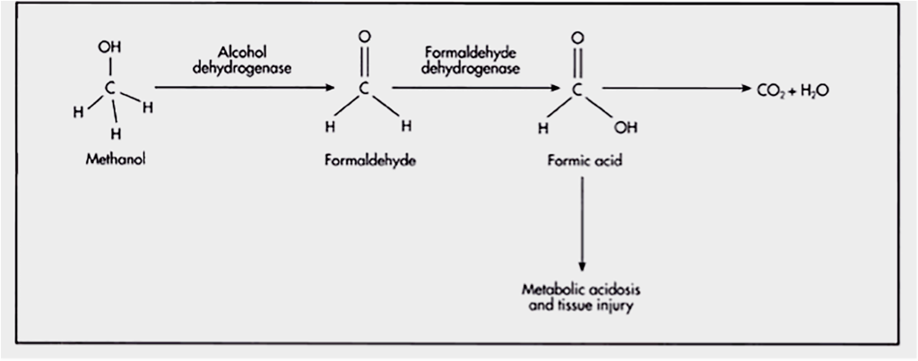 Этилен метанол. The Toxicology of methanol. Костюм метанол.